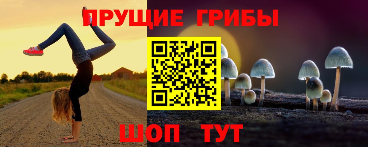 Нововоронеж  Галлюциногенные грибы мухоморы  наркошоп  Вход с VPN 